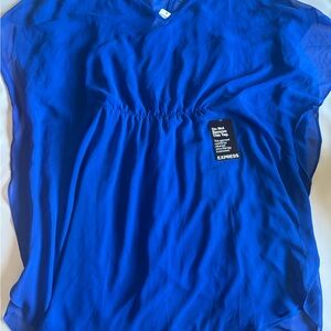 Express Blue Ruched Mini Dress